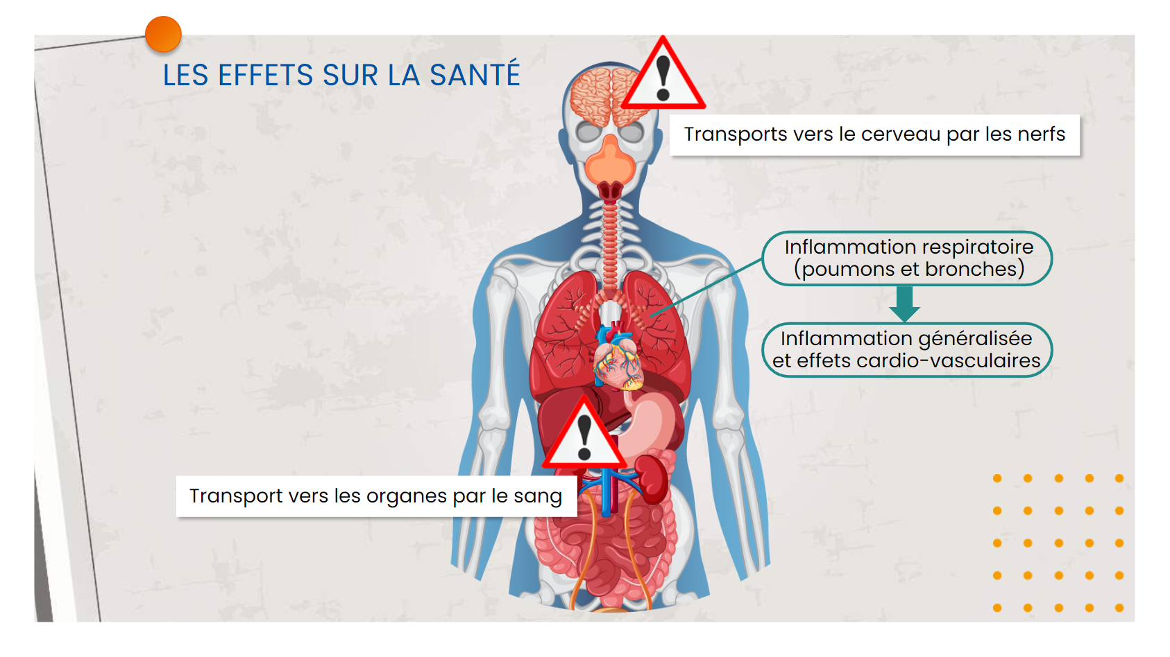 Les nanomatériaux